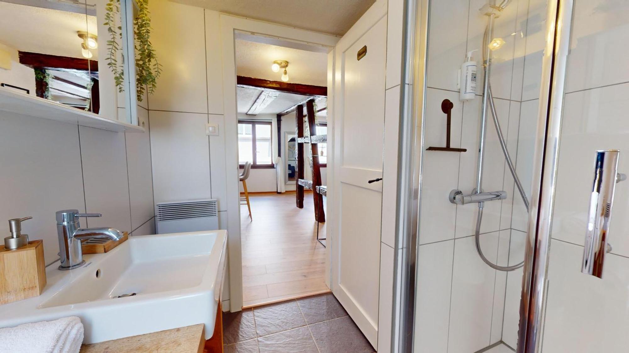 Au Petit Vauban 2 Chambres & Parking كولمار المظهر الخارجي الصورة